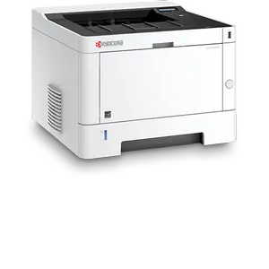 Замена головки на принтере Kyocera P2040DN в Самаре